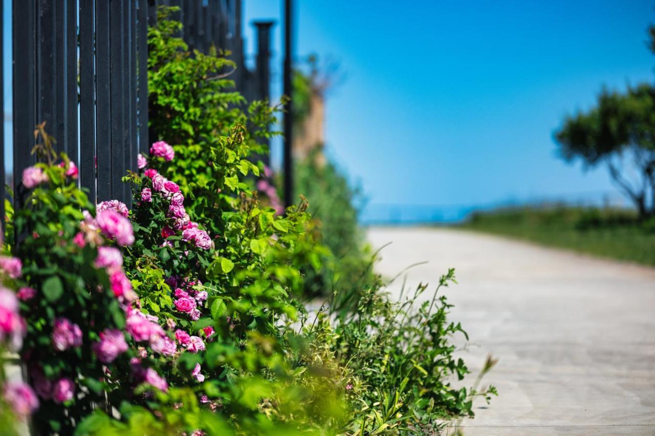 Voya Beach Resort Sveti Vlas Exterior foto A rose garden in the village